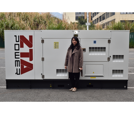 ZTA POWER 250KVA Cummins Dizel Jeneratör